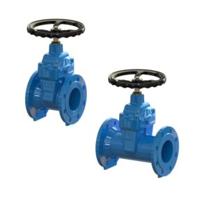 Gate Valves